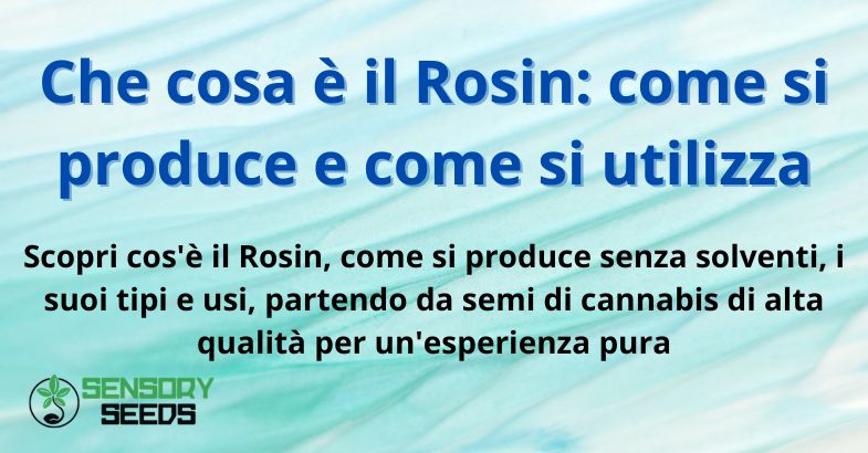 Che cosa è il Rosin: come si produce e come si utilizza