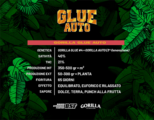 Descrizione completa del prodotto Gorilla Glue Auto