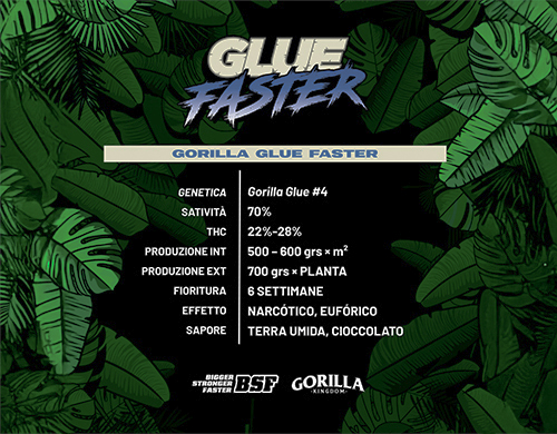 Descrizione completa del prodotto gorilla glue faster