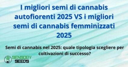 I migliori semi di cannabis autofiorenti 2025 VS i migliori semi di cannabis femminizzati 2025