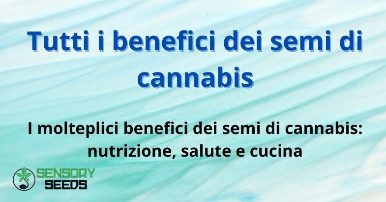 Tutti i benefici dei semi di cannabis