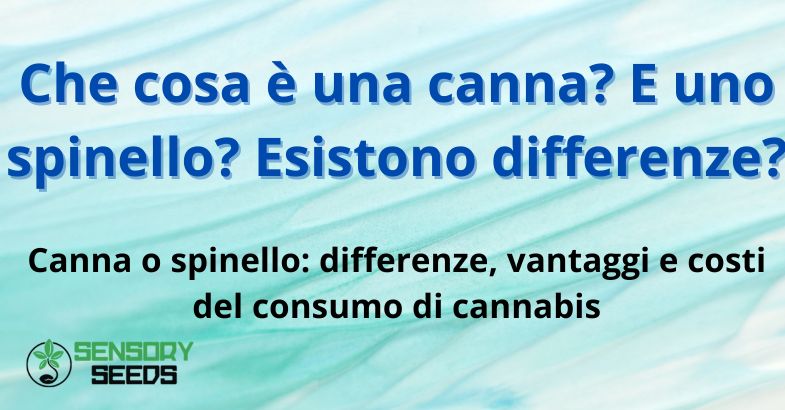 Che cosa è una canna? E uno spinello? Esistono differenze?
