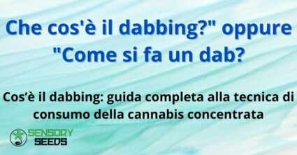 Che cos'è il dabbing?" o "Come si fa un dab?