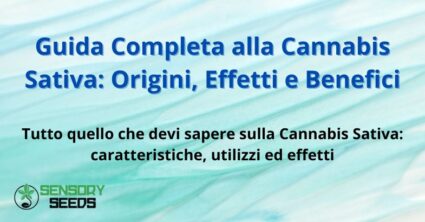 Guida Completa alla Cannabis Sativa: Origini, Effetti e Benefici