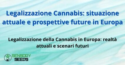 Legalizzazione Cannabis: situazione attuale e prospettive future in Europa
