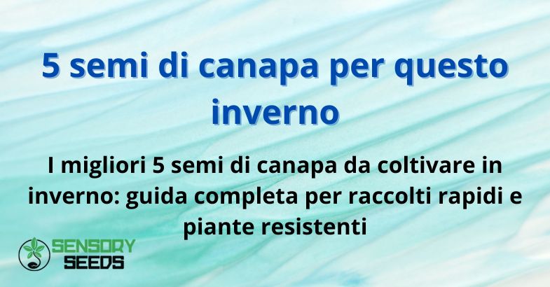 5 semi di canapa per questo inverno