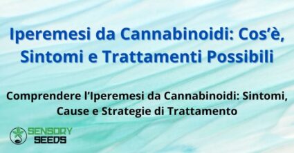 Iperemesi da Cannabinoidi: Cos’è, Sintomi e Trattamenti Possibili