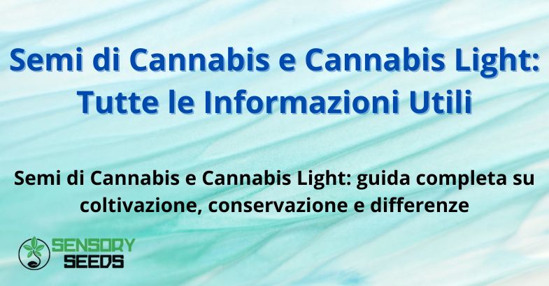 Semi di Cannabis e Cannabis Light: Tutte le Informazioni Utili