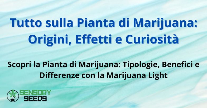 Tutto sulla Pianta di Marijuana: Origini, Effetti e Curiosità