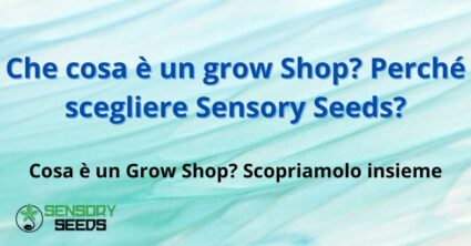 Che cosa è un grow Shop?