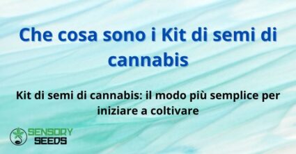 Che cosa sono i Kit di semi di cannabis