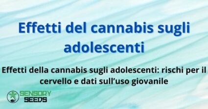 Effetti del cannabis sugli adolescenti