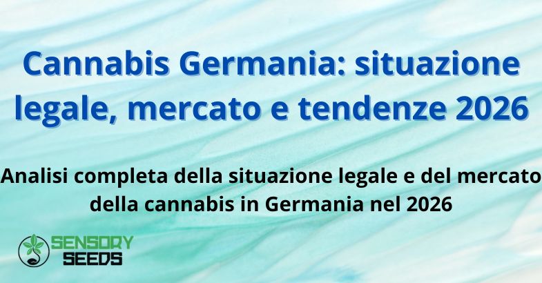 cannabis-germania-situazione Cannabis Germania: situazione legale, mercato e tendenze 2026