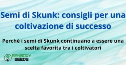 Semi di Skunk: consigli per una coltivazione di successo