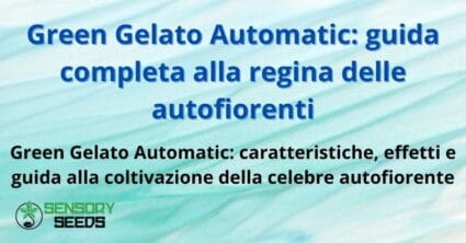 Green Gelato Automatic: guida completa