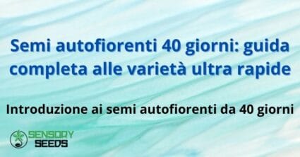 Semi autofiorenti 40 giorni: guida completa